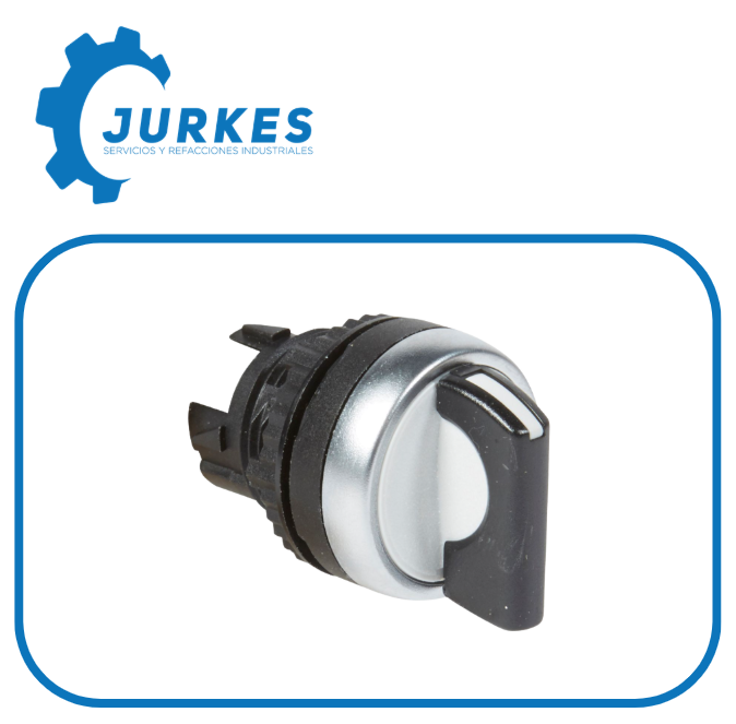 0613344 - 023915 Selector Maneta Corta No Luminoso 2 Posiciones
