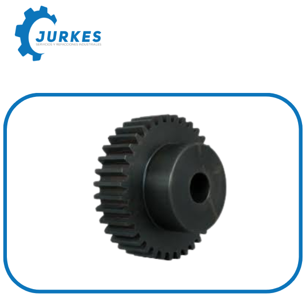 S1256-Engrane Recto  MARTIN