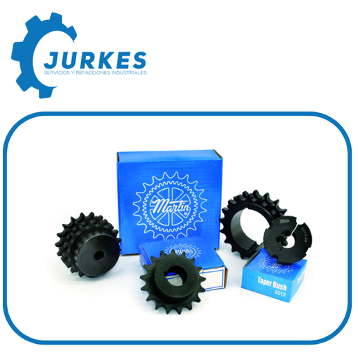 100B17 - Catarina MARTIN