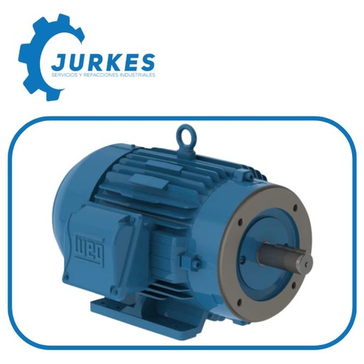 Y.01118ET3E16- Motor Trif 11KW 15 HP 4 Polos Arm 160M IEC  WEG 